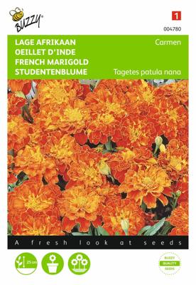 Zaden Tagetes lage Afrikaan Carmen Buzzy - Buzzy