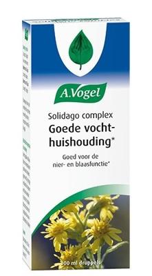 A.Vogel Solidago Vochthuishouding* Druppels A.Vogel Solidago Vochthuishouding* Druppels