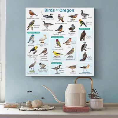 Samsung Galaxy A56 17 cm (6.7") Dual SIM Android 15 5G USB Type-C 8 GB 128 GB 5000 mAh Roze