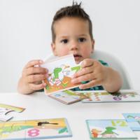 Kikker Telspel - thumbnail