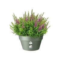 Elho Schaal loft urban 35cm Groen - thumbnail