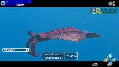 Endless Ocean Luminous