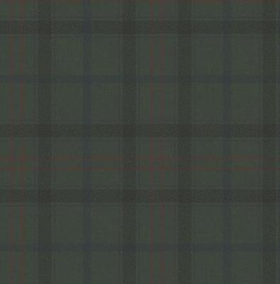 Dutch Wallcoverings Sauvage Ruit - Groen/Rood