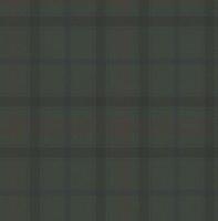 Dutch Wallcoverings Sauvage Ruit - Groen/Rood - thumbnail