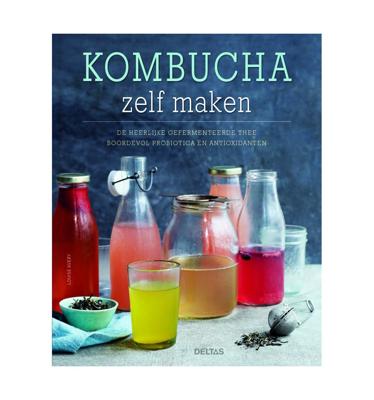 Kombucha zelf maken (Paperback)