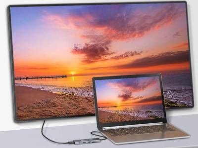 USB-HUB Conceptronic 110520207101 Grijs 100 W