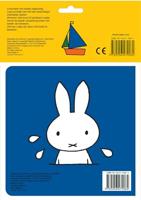 strandpret met nijntje - thumbnail