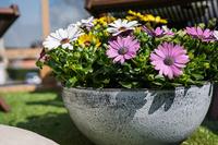 Nova balkonbak half rond 36 concrete - thumbnail