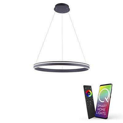 Paul Neuhaus Smart hanglampQ-Vito Ø 80cm - 8412-13