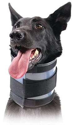 Hondenhalsband KVP Zwart (15-53 cm)