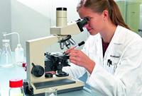 Viltstift edding 8015 lab rond 0.75mm zwart | 10 stuks - thumbnail