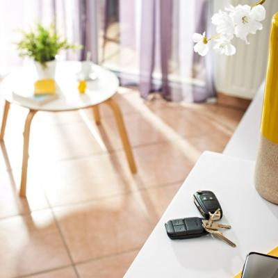 Somfy 2401539 2-kanaals Draadloze afstandsbediening