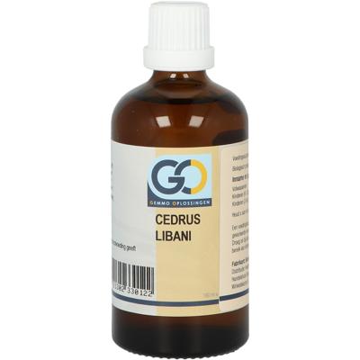 Cedrus libani bio 100 Milliliter Cedrus libani bio 100 Milliliter