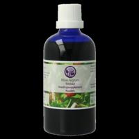 Nagel Ribes nigrum tinctuur 100 Milliliter - thumbnail