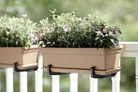 Elho Balkonbak green basics 40cm zwart - thumbnail