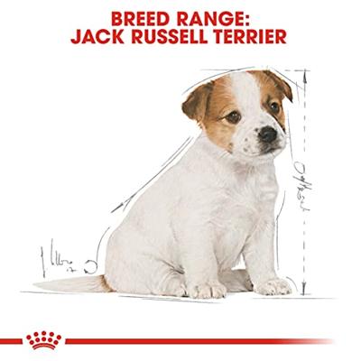 Royal Canin Jack Russel Terrier voer voor puppy 1.5kg