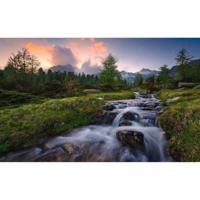 Noordwand Komar Stefan Hefele Fotobehang Wild Paradise - SHX9-096 - thumbnail
