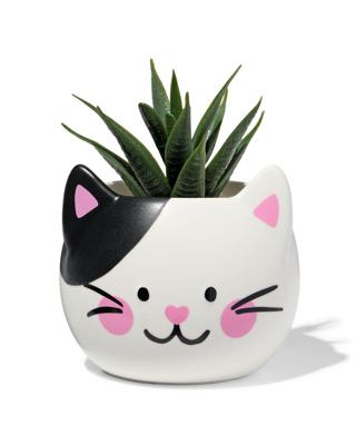 HEMA Plantenpot 9.3x9.3x8.3cm keramiek kat