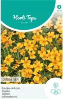 Zaden Tagetes Randjes-afrikaan Orange Hortitops - Hortitops - thumbnail