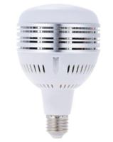 StudioKing FLED-60 LED Daglichtlamp 60W E27 - thumbnail