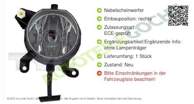 Mistlamp rechts 195709019