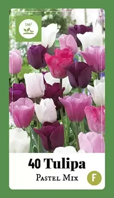 Bloembollen Tulipa Pastel Mix 35st
