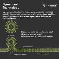 Purovitalis Liposomal Quercetin Capsules - thumbnail