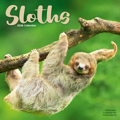 Sloths Calendar 2026 Square Animal Wall Calendar - 16 Month