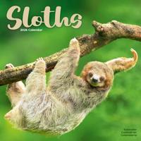 Sloths Calendar 2026 Square Animal Wall Calendar - 16 Month - thumbnail