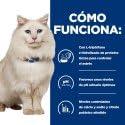 HILL'S PRESCRIPTION DIET Feline c/d Multicare Stress Droog kattenvoer Kip 1,5 kg - thumbnail