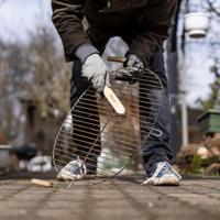 HAZET Draadborstel 2130 · Lengte: 290 mm - thumbnail