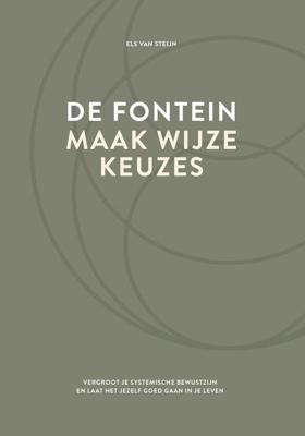 De fontein, maak wijze keuzes - Els van Steijn - ebook
