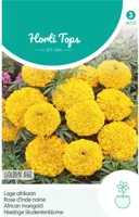 Zaden Tagetes lage Afrikaan Golden Age Hortitops - Hortitops - thumbnail