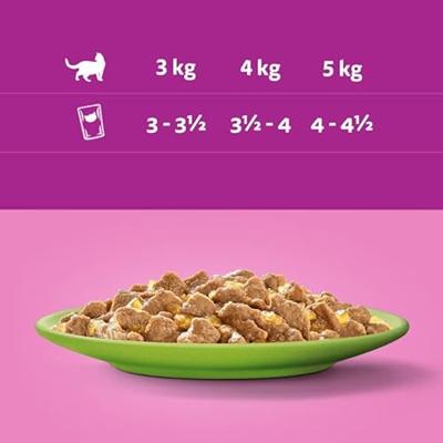 WHISKAS Mix Favourites in jelly - nat kattenvoer - 40x85 g