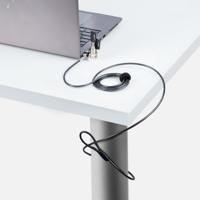 USB-kabel Startech UNIVK-LAPTOP-LOCK Zwart/Gris 2 m - thumbnail