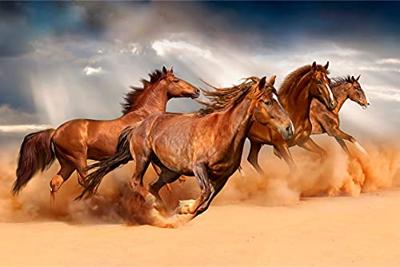 Fotobehang - Galopperende Paarden in de Woestijn, 11 maten, premium print, inclusief behanglijm