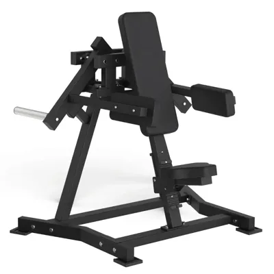 Toorx Professional AVANT - Lateral Raise FWX-6500