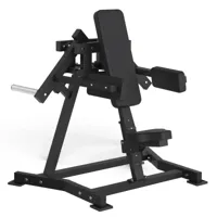 Toorx Professional AVANT - Lateral Raise FWX-6500 - thumbnail
