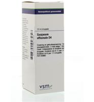 VSM Guajacum officinale D4 (20 ml) - thumbnail