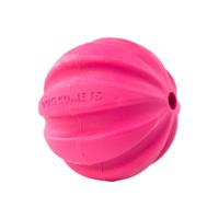 Dog Comets Halley Roze - thumbnail