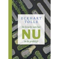 De kracht van het nu in de praktijk - thumbnail