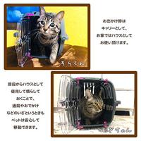 Draagmand Ferplast JET 10 Klein Donker grijs - thumbnail