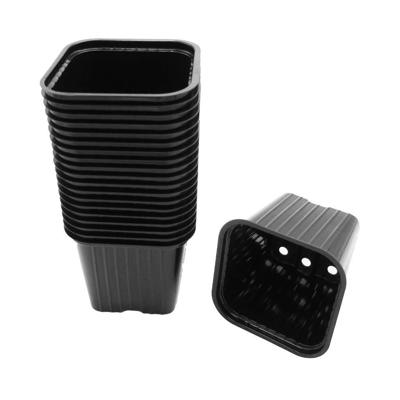 Plastic stekpotjes H6x7x7cm set a 20 stuks Nature - Nature Plastic stekpotjes H6x7x7cm set a 20 stuks Nature - Nature