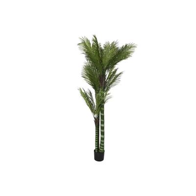 Decoratieve plant Home ESPRIT Polyethyleen Cement Palmboom 100 x 100 x 235 cm