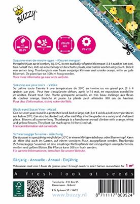 Zaden Flowering Climbers Thunbergia mixed Buzzy - Buzzy