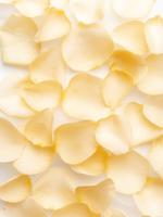 Zalmkleurige rozenblaadjes - thumbnail