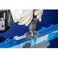 PFERD TOOLS 43102003 Ronde borstel op stift, ongetordeerd RBU 3006/6 INOX 0,20 10 stuk(s) - thumbnail
