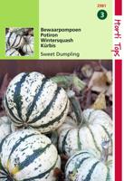Zaden Bewaar pompoen Sweet Dumpling (wintersquash) Hortitops - Hortitops - thumbnail