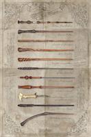 Poster Harry Potter - The Wand Chooses the Wizard 61x91,5cm - thumbnail
