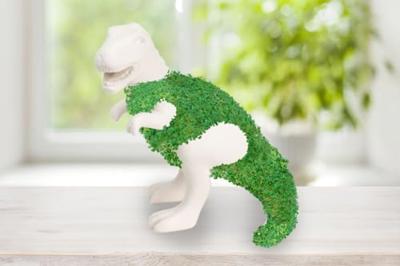 Dino bloempot met zaadjes